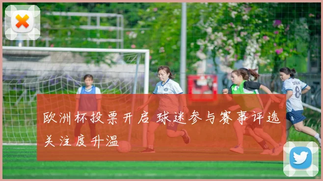 欧洲杯投票开启 球迷参与赛事评选关注度升温